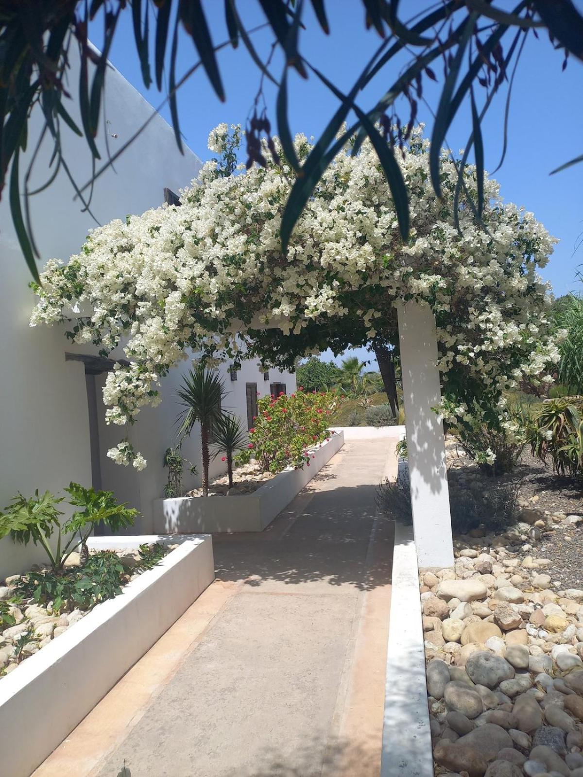 Les Jardins De Silona, Piscine Chauffee Hotel Essaouira Exterior photo