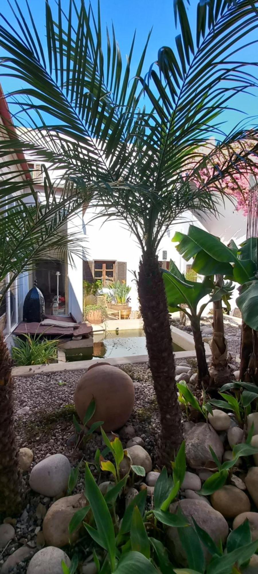 Les Jardins De Silona, Piscine Chauffee Hotel Essaouira Exterior photo