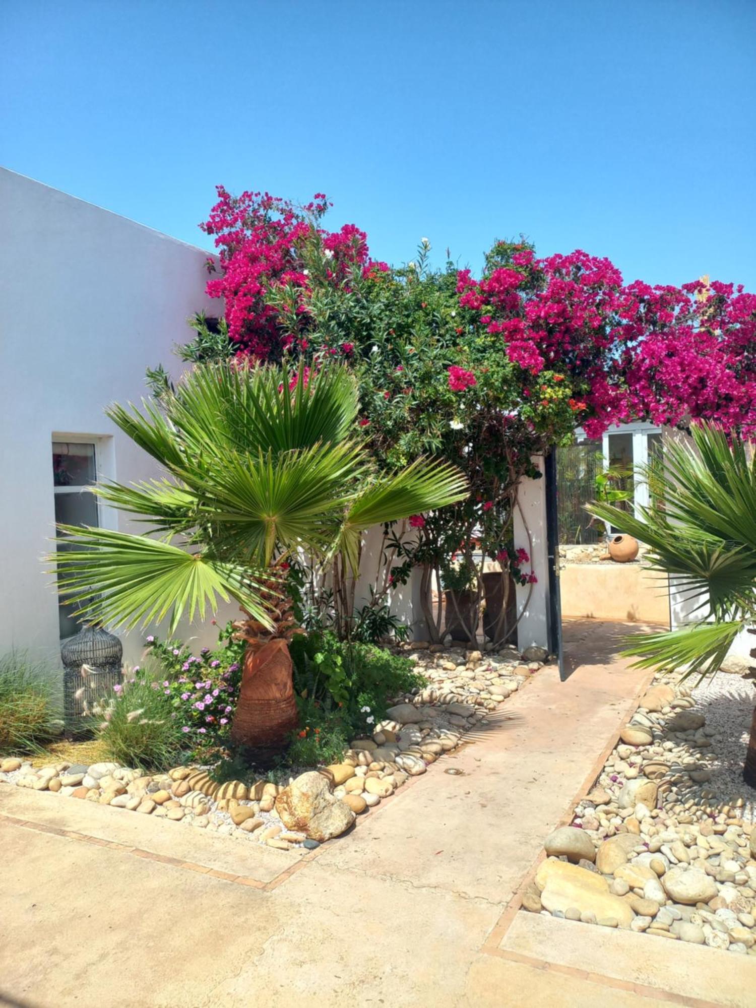 Les Jardins De Silona, Piscine Chauffee Hotel Essaouira Room photo